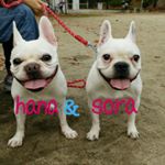 11856600_515003118660144_1547014751_a