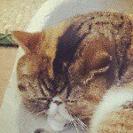 10955165_611673025600971_1998015685_a