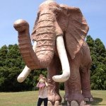 10326614_1595864827342496_793381314_a