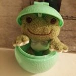 11350722_1477925399188196_478311861_a