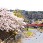 11910302_140699072946645_369598234_a