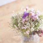 1889388_885433601539688_211116948_a