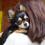 12093665_424573901073287_116395809_a