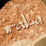 11024146_352705164939115_431216923_a