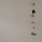 11930839_884212964960008_1915137382_a