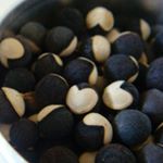 12144235_812857878832551_1640552196_a