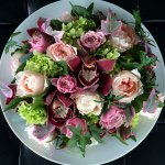 11266054_463687447131566_656492344_a