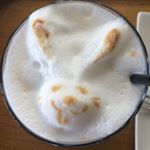 11906411_1637995786484043_1919078998_a