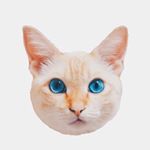 11887223_753954571398565_703845503_a