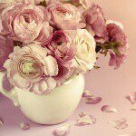 10852619_400476523459838_326591367_a