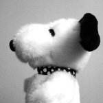 11078783_344537752413358_887827770_a