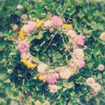 12120362_101977063493669_1263088609_a