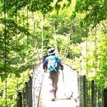 10483547_250648105136773_1334427034_a