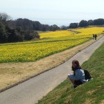 923787_410844715767276_223737148_a