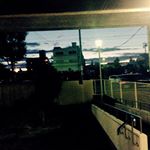 11850398_1648682125371558_321558509_a