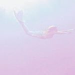 11821247_940858892669321_1958475474_a