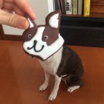 11246305_974111675946531_416792094_a