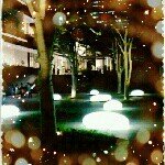 11351587_811365418981048_782677296_a