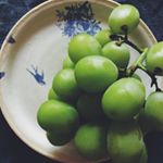 11950541_777120342397846_209878756_a