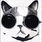 11910111_926065550786044_1764915568_a