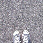 10549808_1522212227991141_654828701_a