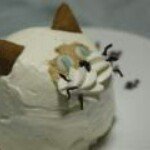 11311089_1632459790368224_35939367_a