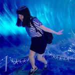 11821240_1470603669928944_1007875180_a