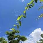 10632403_704930842972048_320151013_a