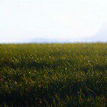 11117044_776018069134068_168162924_a