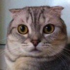 11374139_1621749661420738_822974750_a