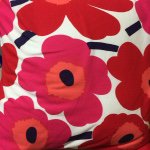 11033011_1663433810542841_2109806534_a