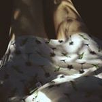 12145097_721951954605139_247888993_a