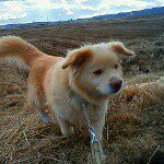 10903637_389915231189589_1263134142_a