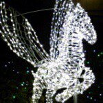 10890977_1529091140684241_748045057_a