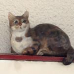 10723888_1679809345581957_1880209033_a