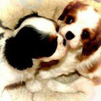 11950576_1912807665612039_1296703274_a