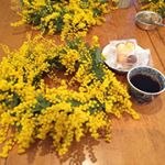 11848953_1629330073974859_47673531_a