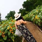 11934808_1603742893221807_753122591_a