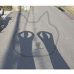 10954736_1487742988191074_548699656_a