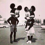 10584540_553152034790635_654392369_a