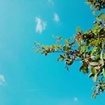 12139840_1001619456569568_1746028925_a