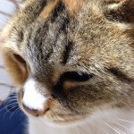 11934598_418144945051955_1051533654_a