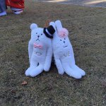 10731766_813370592038788_919428814_a