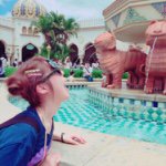 10838335_913949218699206_1823159711_a