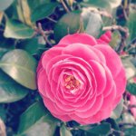 10903265_614408512021177_601516913_a