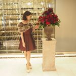 11363904_950667755005738_2035011956_a