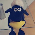 11950713_701071273361072_452288916_a