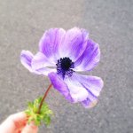 10948310_761603153895669_1427867593_a