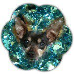 11378872_871868286194963_611409064_a