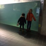 10525521_943928065626471_110065758_a